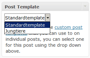 Custom Post Template